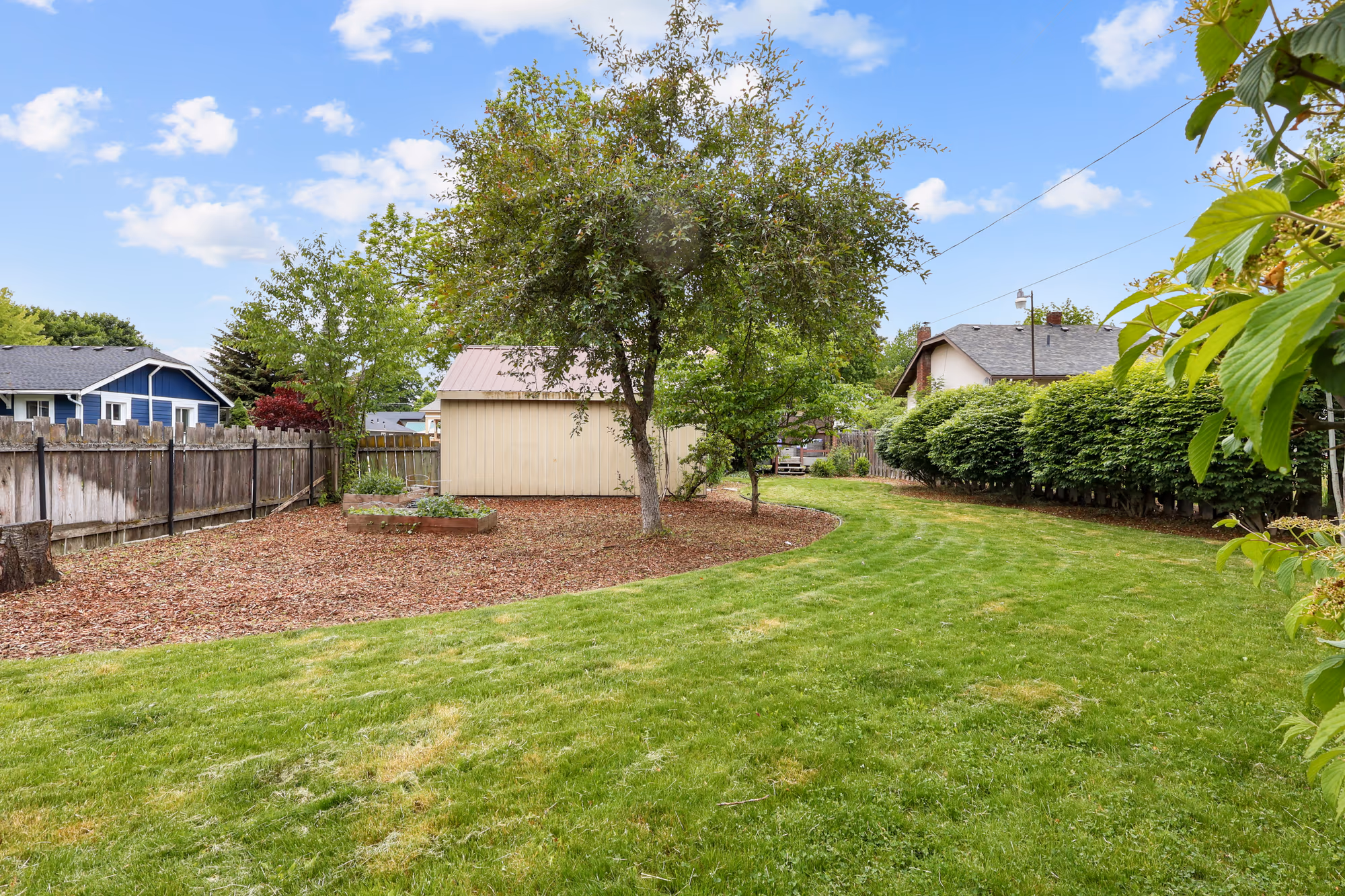 Green backyard with mature trees and a privacy fence