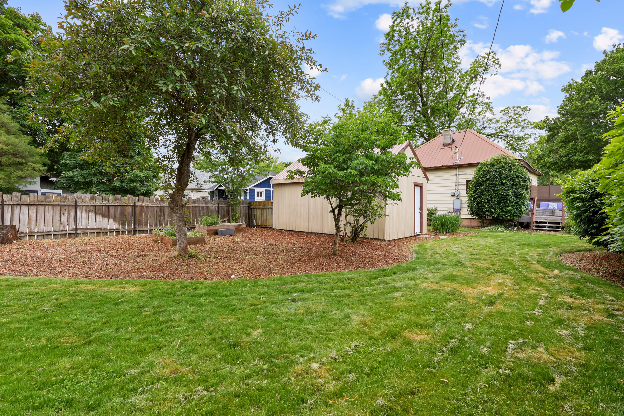Spacious backyard with lawn and a garden shed