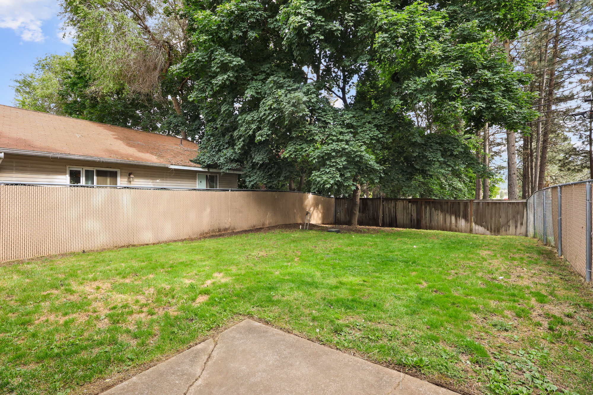Level backyard framed by trees and fencing